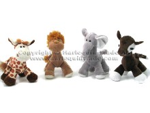 Assorted zoo animals