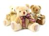 Bear different colours
