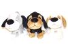 Dogs