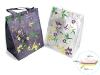 Cooler bag - shopping bag style