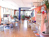 Harlequin Trade main office 2